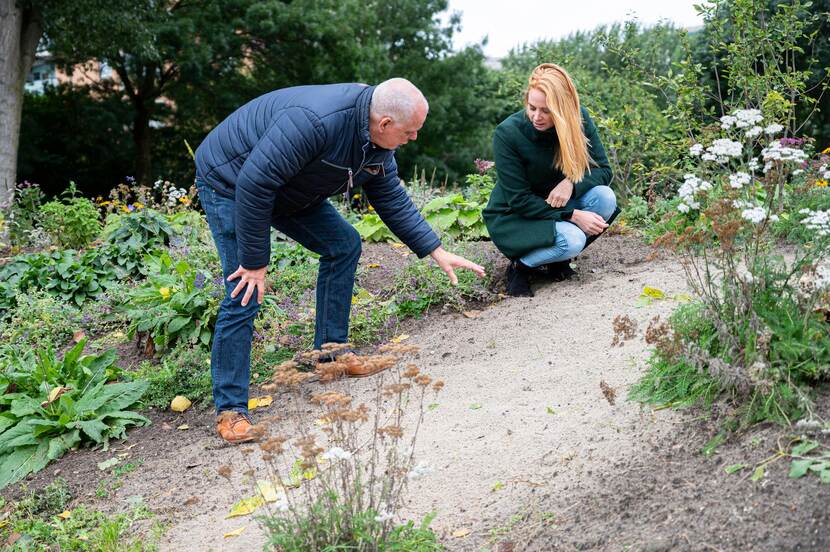 Duurzaam landschapsbeheer op de Van Ghent Kazerne in Rotterdam. Nelleke Overgaauw en Frank van Dam