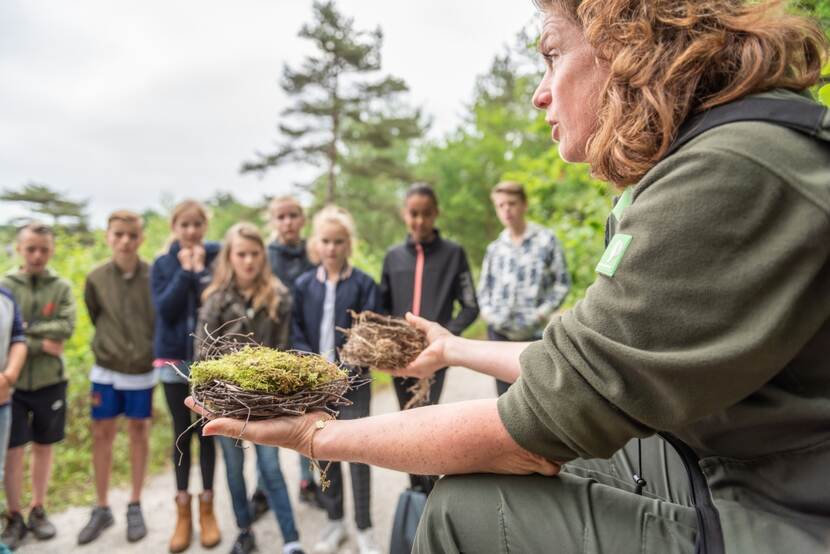 Boswachter van staatsbosbeheer geeft uitleg aan kinderen