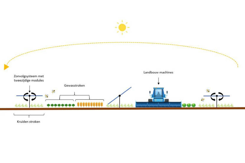 Illustratie met een gele zon die boven een landbouwveld staat waarop stroken zonnepanelen staan die worden afgewisseld met stroken met landbouwgewassen. Er tussen is een blauwe tractor getekend.