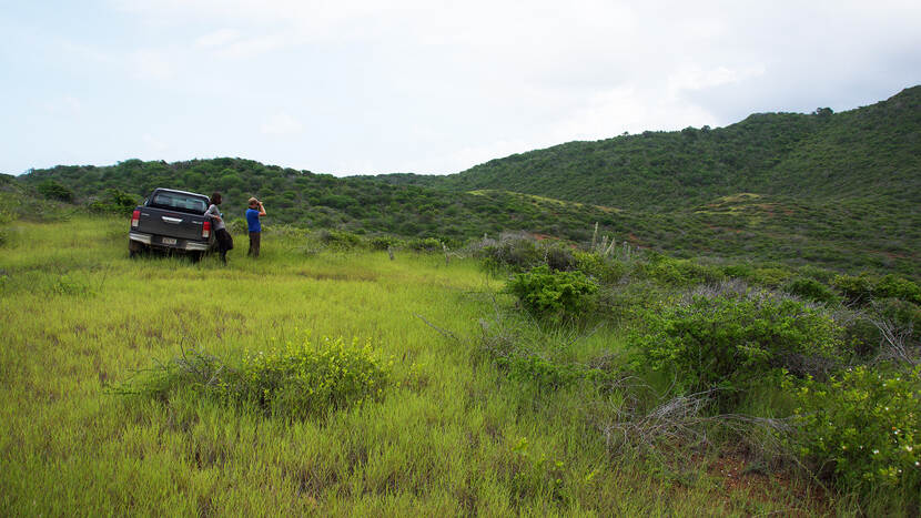 natuurgebied Wacawa op Curaçao