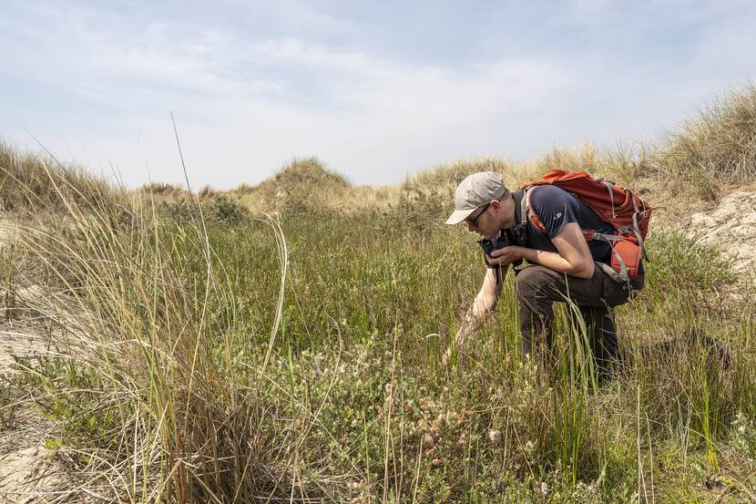 Ecoloog Theo Linders op Texel