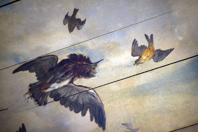 Plafondschildering vogels