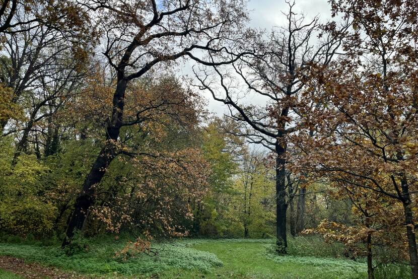 Sorghvliet Wandelpad