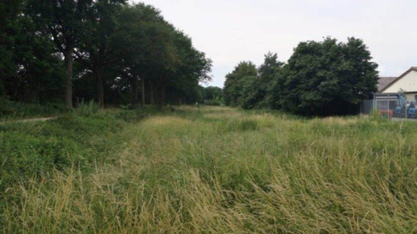 Nederweert, Kanaaldijk