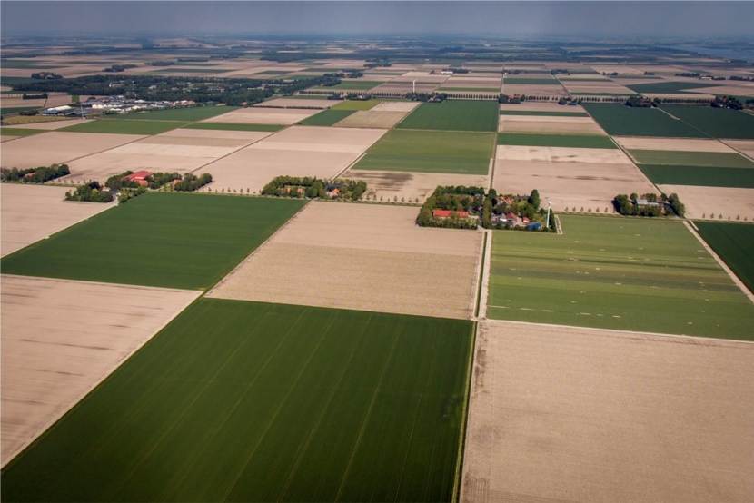 IJsselmeerpolders