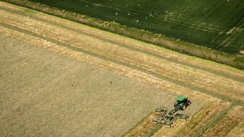 Pachtgronden Zuid-Holland, Groningen, Gelderland en Friesland
