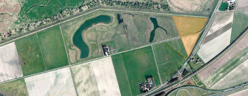 Woensdrecht, Reimerswaalweg