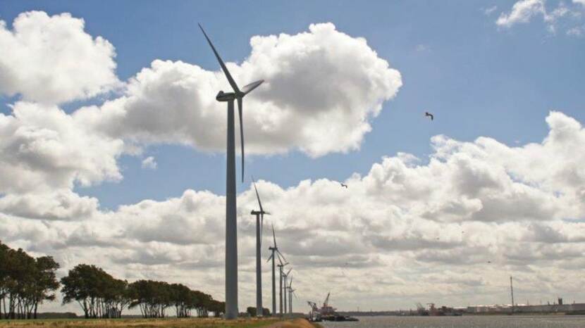 Rozenburg, Ontwikkellocatie windturbines op Landtong Noordzeeweg, nabij paal 83