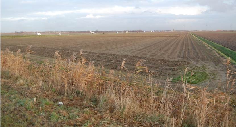 Zuidzeedijk in Steenbergen